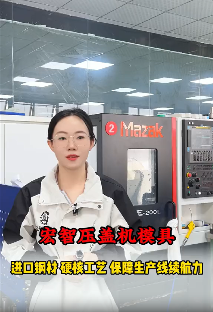 宏智压盖机模具