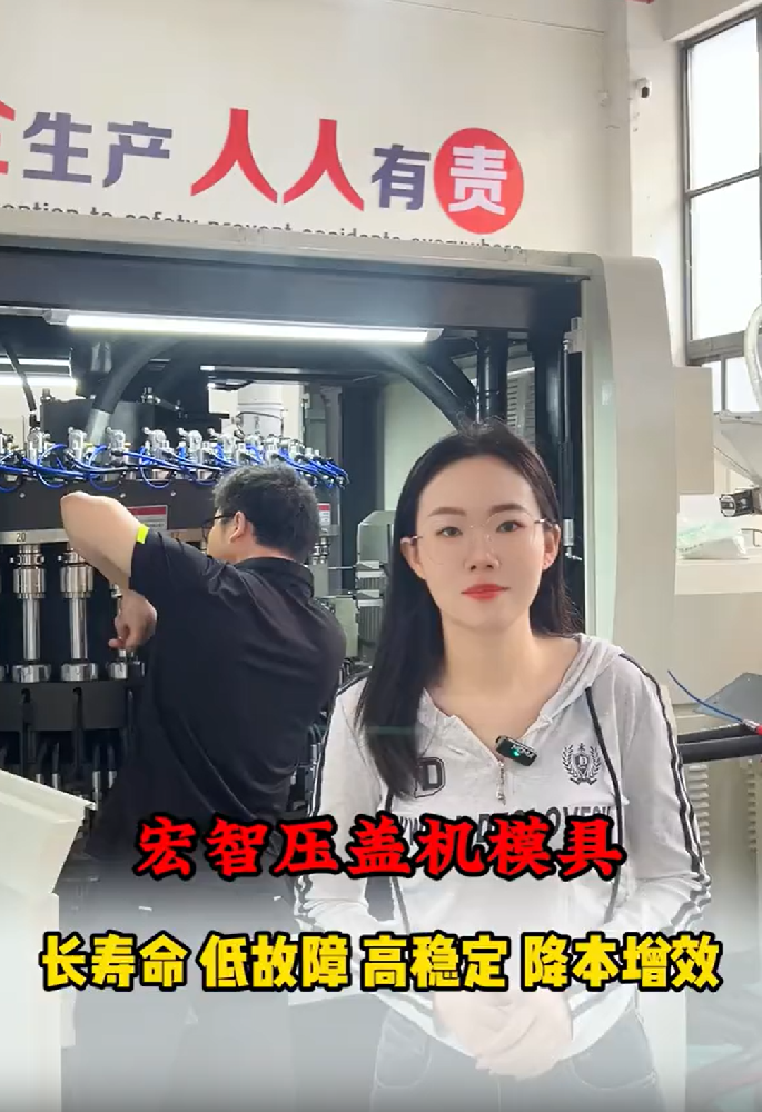 宏智压盖机模具